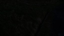 P1060178